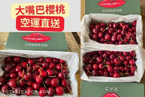 2026大嘴巴櫻桃哪裡買